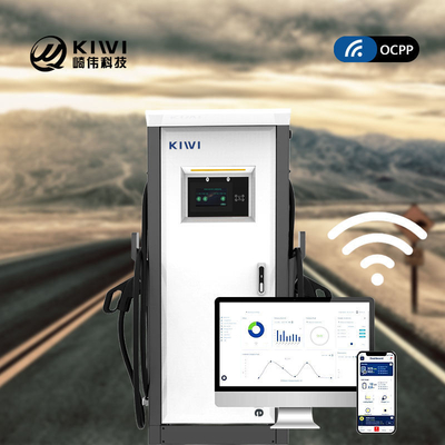 Uitgangsspanning DC 200V-1000V 60KW 120KW CCS2 Chademo Type2 EV DC-oplaadstapel voor EV's