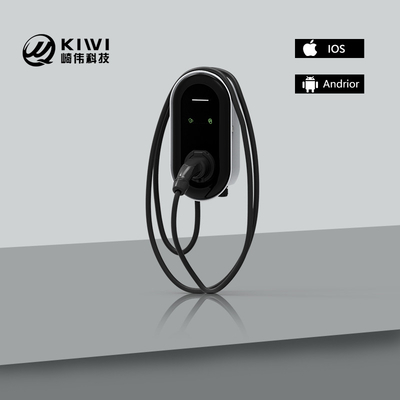 Type-1/Type-2/GB/T 11kW EV-oplaadstation voor het opladen van supermarkten en kleuterscholen