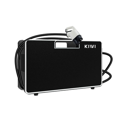 Vaste EV-auto DC-oplader KIWI 150V-750V Draagbare CCS-ev-oplader voor Tesla Model Y/S